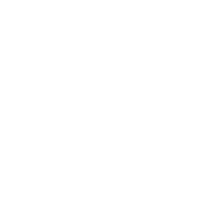 white logo catamaran